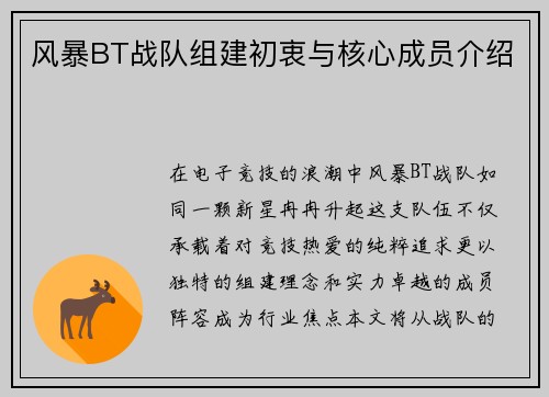 风暴BT战队组建初衷与核心成员介绍