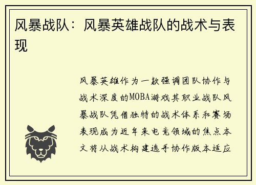 风暴战队：风暴英雄战队的战术与表现